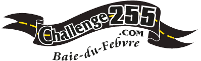 Challenge 255 - logo